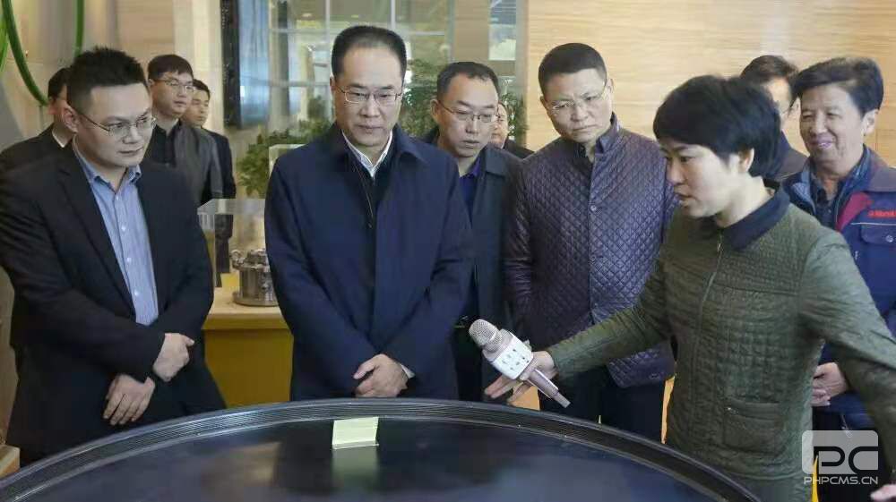 韩卫市长一行莅临我司调研指导